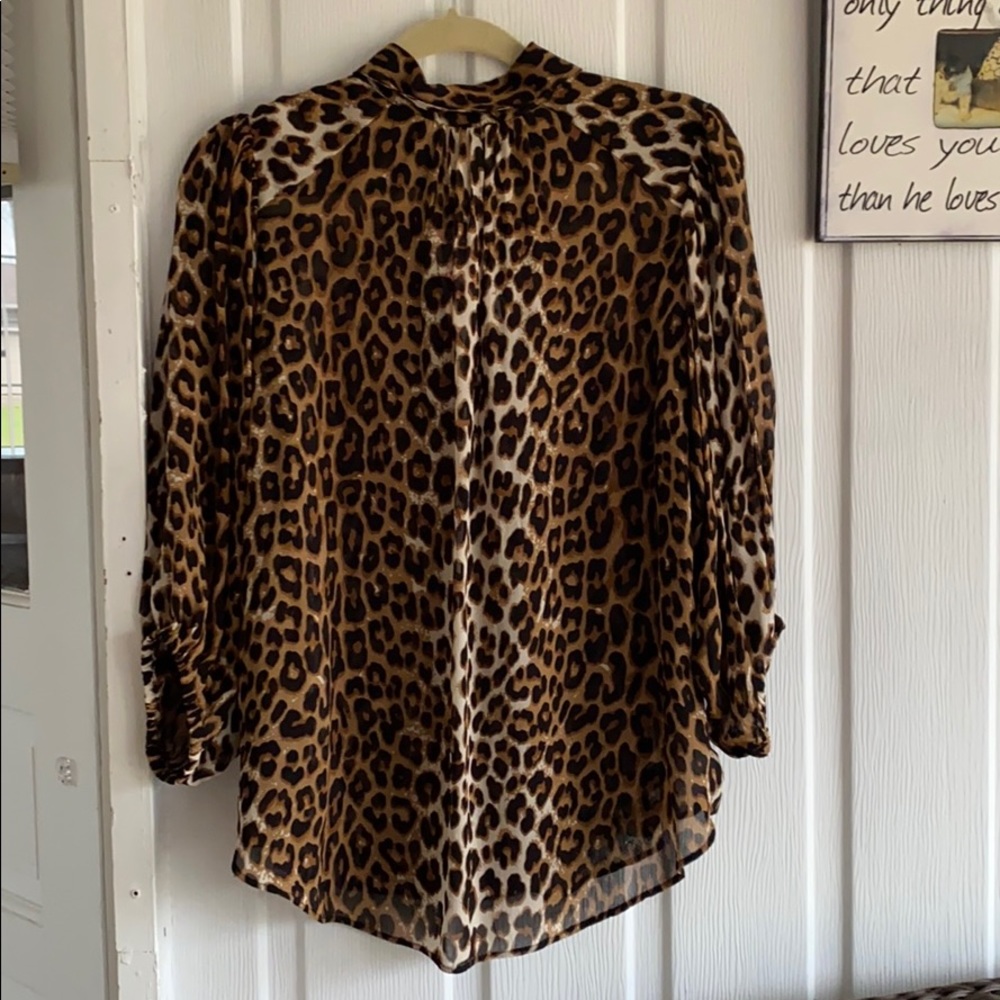 Animal Print Tops - Picture 4 of 9
